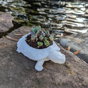 Planter STL  3MF Files | Turtle Flower Pot | Drainage Hole Plant Pot | One Piece & Multi-Part Versions | Commercial License