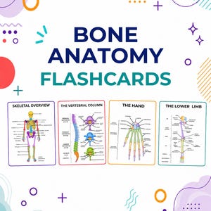 Bone Anatomy Flashcards Nursing and Medical Student Flashcards | Cheat Sheets | Study Guide