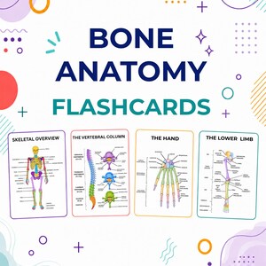 Bone Anatomy Flashcards Nursing and Medical Student Flashcards | Cheat Sheets | Study Guide