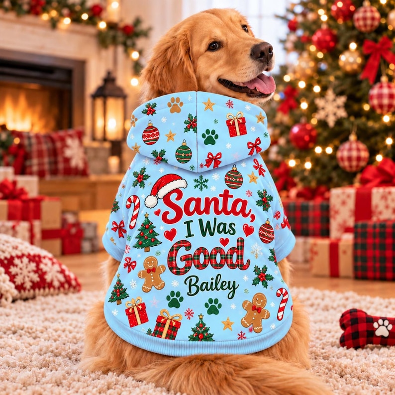 Personalized Christmas Dog Hoodie, Santa I Was Good Pet Sweatshirt ...