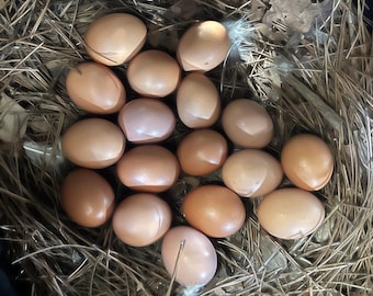 Huevos de la Reina de la Canela