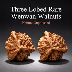 Three Lobed Rare Wenwan Walnut Pair, Natural Unpolished, Hand Exercise Fidget Toy, Stress Relief Desk Decor Gift for Collectors