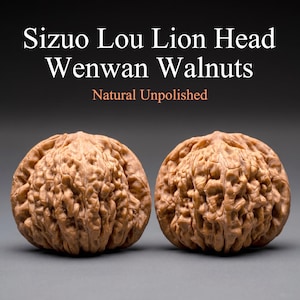 May include: Two natural, unpolished Sizuo Lou Lion Head Wenwan Walnuts. The walnuts are a light brown color with a textured surface. The text "Sizuo Lou Lion Head Wenwan Walnuts" and "Natural Unpolished" is displayed in the image.