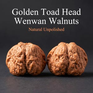 Noci Wenwan Golden Toad Head, coppia abbinata, naturale/lucida, diverse misure, strumento antistress