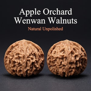 Pode incluir: Duas nozes Wenwan naturais e não polidas da Apple Orchard. As nozes são de cor castanho claro e têm uma superfície texturizada. A imagem inclui o texto "Apple Orchard Wenwan Walnuts Natural Unpolished".