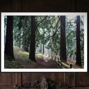 Puede incluir: Una fotografía enmarcada de un camino a través de un bosque con árboles altos y una valla de madera. La fotografía está colgada en una pared de madera oscura en una habitación con un gran cofre de madera.