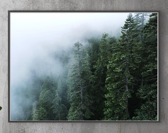 Forest Art.Oregon.Wall Decor.Trees.Pacific Northwest.Mist.Fog.Fine Art Photography.SEVERAL SIZES