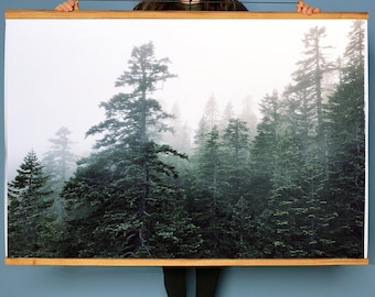 Forest Art.Oregon.Wall Decor.Mist.Fine Art Photography.Fog. SEVERL SIZES & POSTER prints