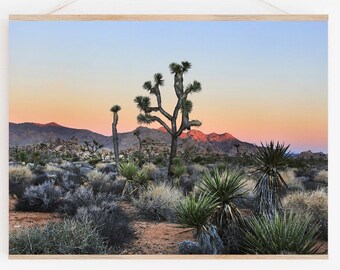 Joshua Tree Art Prints. Botanical.Wall Decor.Desert.Sunrise.Mojave Desert.Fine Art Photography.SEVERAL SIZES