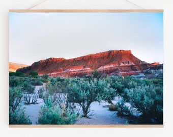 Utah Desert Art.Paria Canyon Movie Set.Wall Decor.Fine Art Photography.35mm Film. Tree.Sage.SEVERAL SIZES