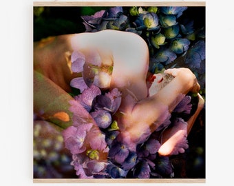 Nude.Hydrangea.35mm Film.In-camera Double Exposure.Oregon Artist. Fine Art Photography.SEVERAL SIZES & CROPS + Poster Option