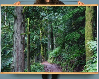 Oregon Forest Art.Wildwood Trail.Forest Park.Wall Decor.Fine Art Photography. SEVERL SIZES & POSTER prints