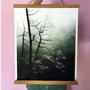 Tree Art. Wall Decor.Art.Photo Print.Fine Art Photography.Mist Forest.Moss.Tree.Pacific Northwest.Forest.Washington.SEVERAL SIZES