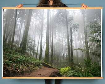 May include: A framed photograph of a misty forest path with tall trees and lush green foliage. The photograph is held by a person wearing a red beanie.