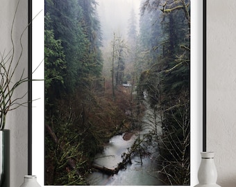 May include: Framed landscape print featuring a misty forest scene. A river winds through the trees, with a fallen log in the water. The forest is dense with evergreen trees and the image is framed in a black border.