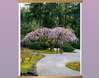 Garden Cherry Blossom Print.Portland.Oregon.Japanese Garden.Sand Zen.Fine Art Photography.SEVERAL SIZES