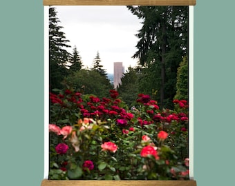 Portland Rose Garden Print.Big Pink.Oregon.Cityscape.Art.Wall Decor.Fine Art Photography.SEVERAL SIZES