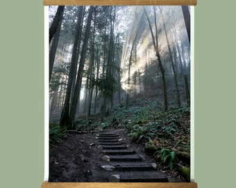 Wildwood Trail.Forest Art.Portland.Oregon.Forest Park.Sun Rays.Wall Decor.Hiking.SEVERAL SIZES