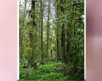 Forest Art Print.Oregon.Moss.Ferns.Sandy River Forest.Trees.Pacific Northwest.Fine Art Photography.SEVERAL SIZES
