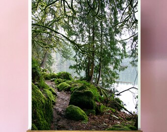 Battleground Lake Art Print.Moss.Trail.Washington.Forest.Decor.Water.Mist.Several Sizes & Poster options