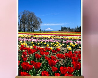 Oregon Tulip Flowers Art Print. Mount Hood.Fine Art Photography.SEVERAL SIZES & Poster