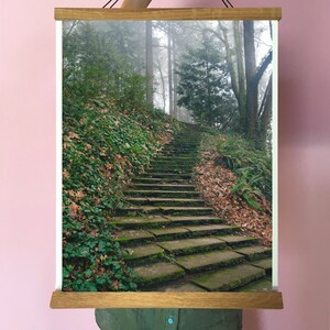 Portland Art.Oregon.Forest. Washington Park.Alt. Treppe. Nebel. Nebel.Wanddeko.Wildwood Trail.Wandern.VERSCHIEDENE GRÖSSEN