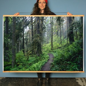 Oregon Forest Art Print. Salmon Huckleberry Wilderness.Fine Art Photography.Mist.SEVERAL SIZES & POSTER prints