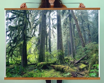 Forest Art Print Oregon.SEVERL SIZES & POSTER. Moss.Wall Decor.Mist.Fine Art Photography