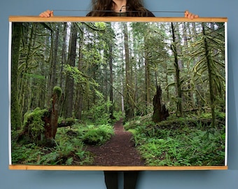 Oregon Forest Trail Print.Salmon Huckleberry Wilderness.Fine Art Photography.Mist.SEVERAL SIZES & POSTER prints