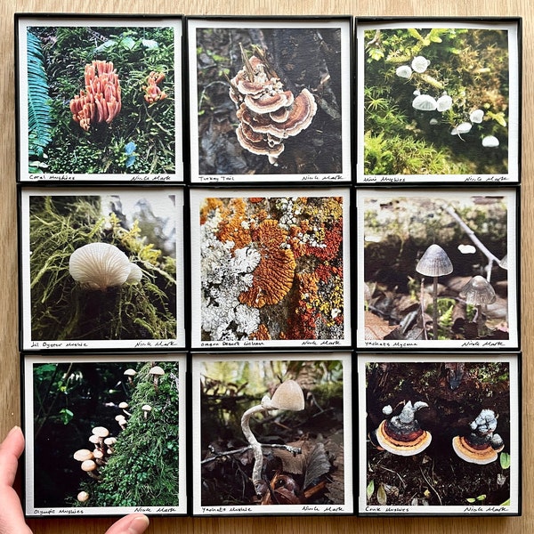 Mushroom Fungi Art.9 STYLES.4x4" Framed Prints. Oregon. Washington. Forest. Lichen.Wall Decor.SMALL ART
