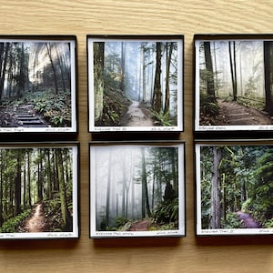 Wildwood-Spur.6 STYLES. 4x4-Zoll großer gerahmter Druck.Forest Park.Portland, Oregon.Wand Kunst Dekor.Bäume