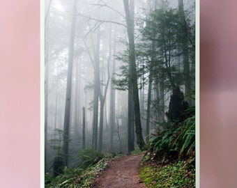 Forest Park Trail Print.Portland.Wildwood Trail.Oregon.mist.fog.trees.Wall Decor.Hiking.Fine Art Photography.SEVERAL SIZES