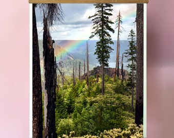 Oregon Rainbow Art Print.Fine Art Photography.Forest.Trees.Pacific Northwest.Santiam Pass. SEVERAL SIZES