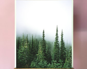 Forest Art Print.Wall Decor.SEVERAL SIZES.Pacific Northwest.Trees.Mist.Washington.Hurricane Ridge.Oympic Peninsula.Evergreen.35mm film
