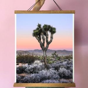 May include: A framed print of a Joshua Tree in the desert at sunset. The sky is a gradient of pink, orange, and blue. The tree is silhouetted against the sky.
