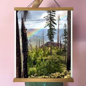 Oregon Rainbow Art Print.Fine Art Photography.Forest.Trees.Pacific Northwest.Santiam Pass. SEVERAL SIZES image 1