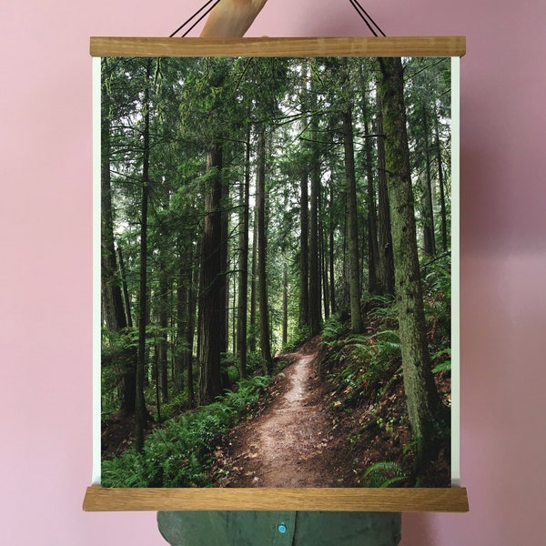 Forest Art.Portland.Oregon.Forest Park.Wall Decor.Wildwood Trail.Senderismo.VARIOS TAMAÑOS