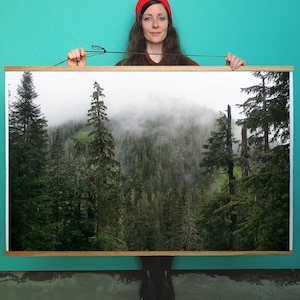 Forest Art.Mist.Trees.Wall Decor.Rain Firest.Fine Art Photography.Pacific Northwest.PNW.SEVERAL SIZES & poster option