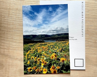 Postcard.4x6".Oregon.Columbia River Gorge.Tom McCall Nature Preserve.Photograph.Art.Pacific Northwest