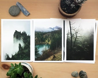 5x7 Forest Prints.8 SET.Oregon.Washington.DISCONTINUED.PNW.Photo Prints.Fine Art Photography.Lake.Sunset.Trees.Pacific Northwest.