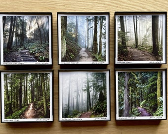 Wildwood Trail.6 STYLES. 4x4" framed prints.Forest Park. Portland, Oregon.Wall Art Decor.Trees.Pacific Northwest