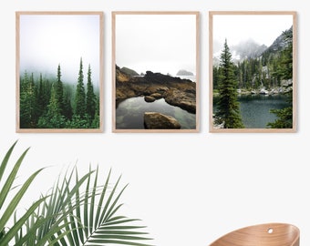 May include: Three framed landscape photographs with a nature theme. The first image shows a misty forest with tall evergreen trees. The second image shows a rocky coastline with a small pool of water. The third image shows a lake surrounded by trees and mountains.