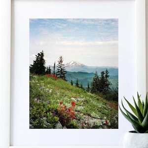 Oregon Art Print Mt Hood.Mountain.35mm Film.Fine Art Photography.Wildflowers.SEVERAL SIZES & Poster