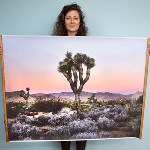 May include: A framed photograph of a Joshua Tree in the desert at sunset. The sky is a soft pink and purple, and the Joshua Tree is silhouetted against the mountains in the background.