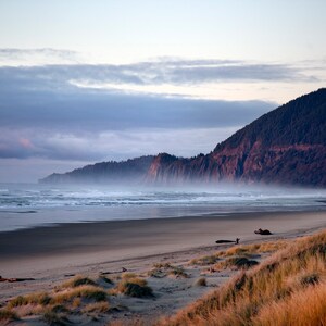 May include: A scenic view of a sandy beach with a mountain range in the background. The beach is covered in tall grass and the ocean is calm with small waves. The sky is a light blue with white clouds.