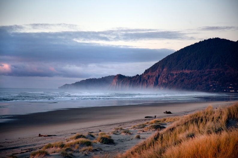 May include: A scenic view of a sandy beach with a mountain range in the background. The beach is covered in tall grass and the ocean is calm with small waves. The sky is a light blue with white clouds.