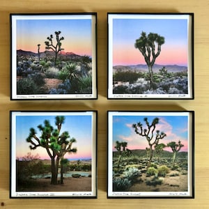 Joshua Tree Framed Prints.5 STYLES. 4x4&quot;.Desert.Sunrise.Sunset.California. SMALL ART