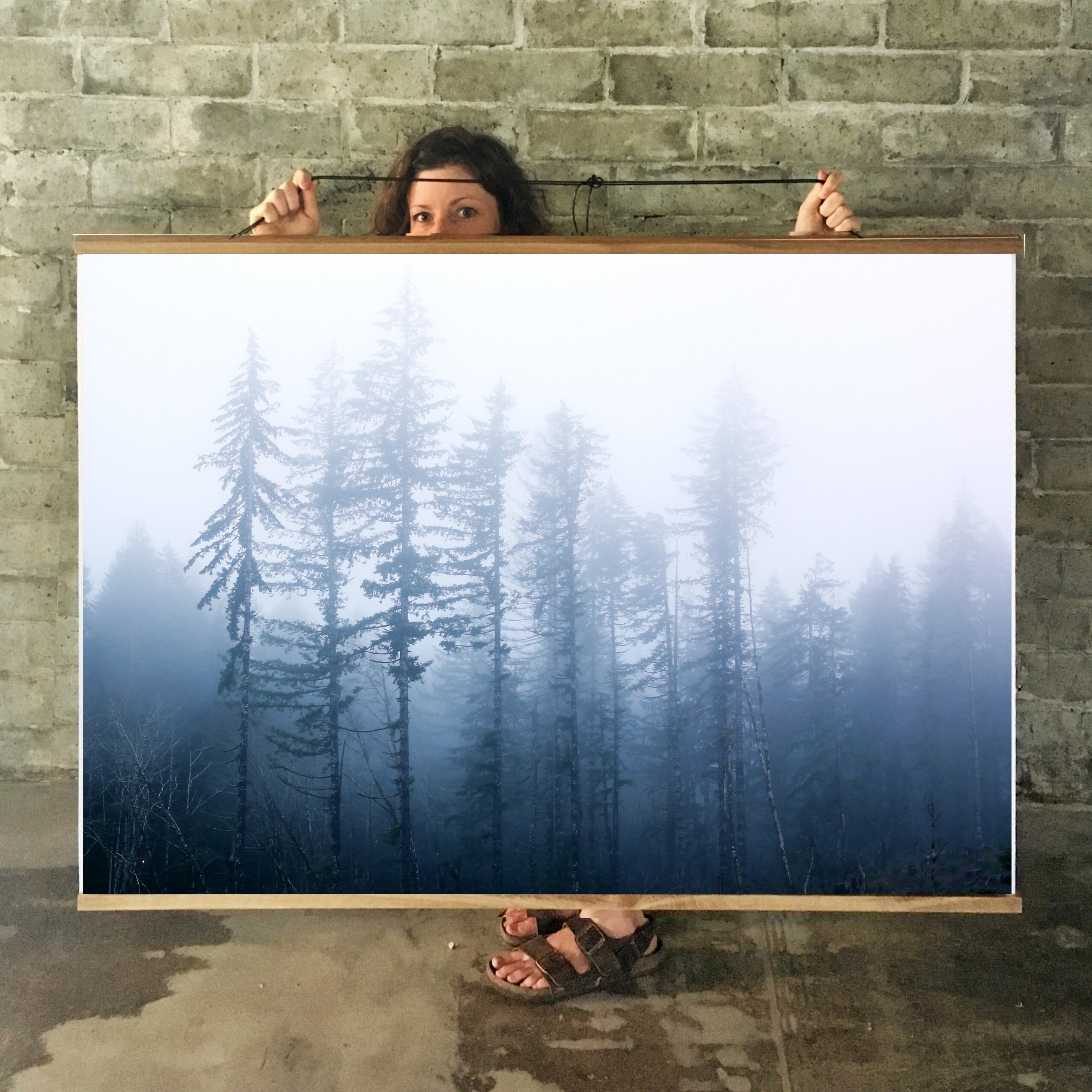 Forest Art.Oregon.Wall Decor.Large Photo Print.Fine Art Photography.Tillamook National Forest.Blue.Trees.Mist.Fog.SEVERAL SIZES
