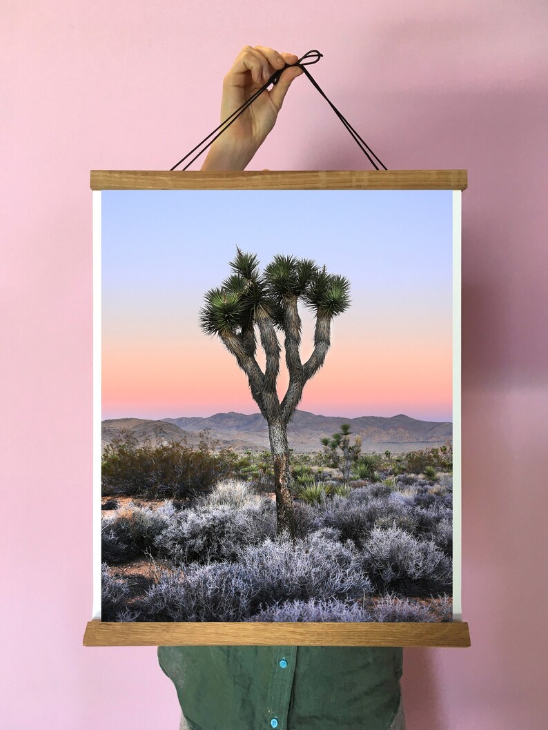 May include: A framed print of a Joshua Tree in the desert at sunset. The sky is a gradient of pink, orange, and blue. The tree is silhouetted against the sky.