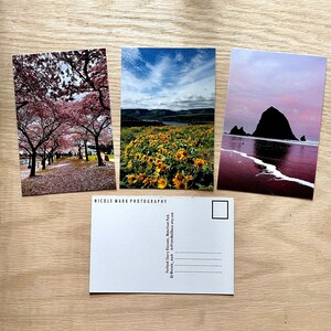 Cartes postales. 3 x 6 po. Oregon in Bloom. Nord-ouest du Pacifique. Art. Fleurs sauvages. Cannon Beach Sunrise. Cherry Blossoms